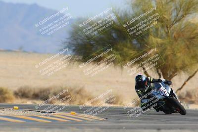 media/Jan-14-2024-SoCal Trackdays (Sun) [[2e55ec21a6]]/Turn 4 Tree of Life (155pm)/